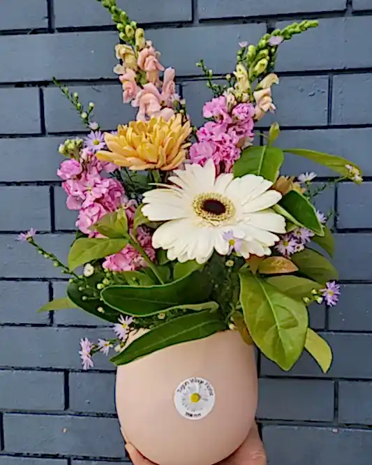 MAJESTIC MUM ARRANGEMENT