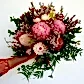 VIBRANT VERON NATIVE BOUQUET